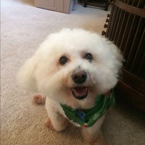 Meet your Posher, Polly